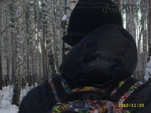 SSA42031_r